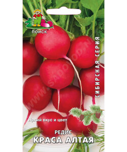 Редис Краса Алтая