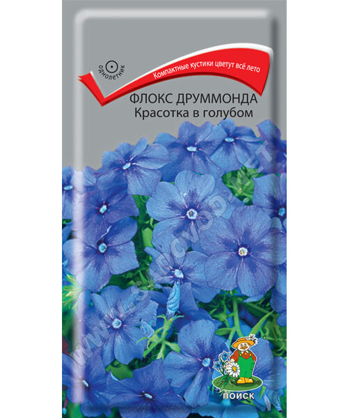 Флокс Красотка в голубом (друммонда) семена