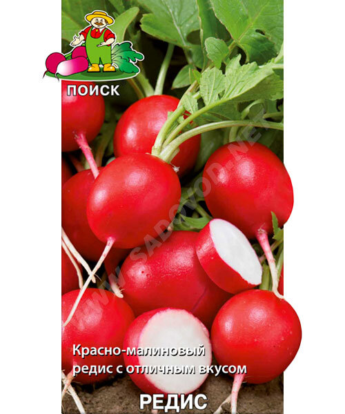 Редис Заря (простые пакеты) семена 
