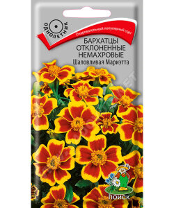 Бархатцы отклоненные Шаловливая Мариэтта 