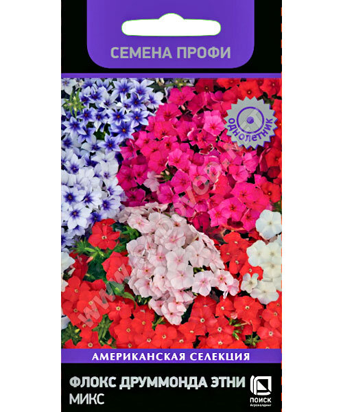 Флокс Этни микс (друммонда) семена