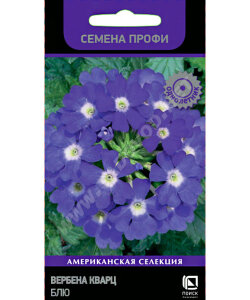 Вербена Кварц Блю (ПРОФИ) Вербена Кварц Блю (ПРОФИ)