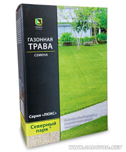 Северный парк Северный парк