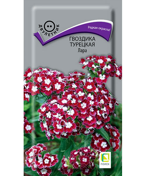 Гвоздика турецкая Лара семена