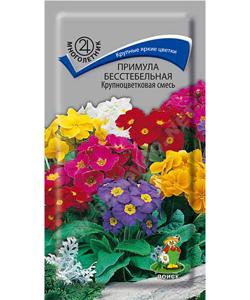 Примула Крупноцветковая смесь (бесстебельная) семена