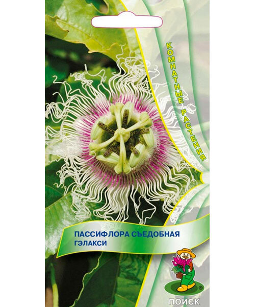 Пассифлора Гэлакси семена