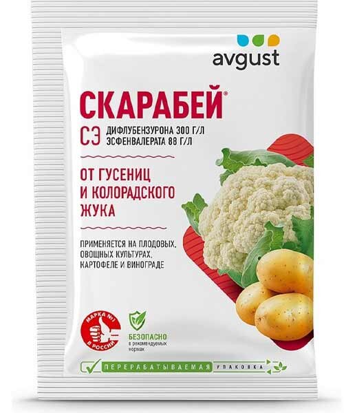 Скарабей