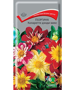 Георгина Коларетте Денди Микс Георгина Коларетте Денди Микс