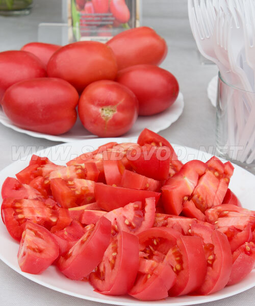 Томат Розовый Агат семена 