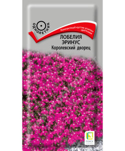 Лобелия Королевский дворец (эринус) Лобелия Королевский дворец (эринус)
