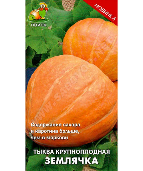 Тыква Землячка (крупноплодная) семена 