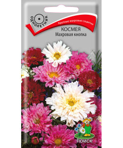 Космея Махровая Кнопка