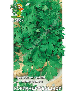 Кориандр Стимул