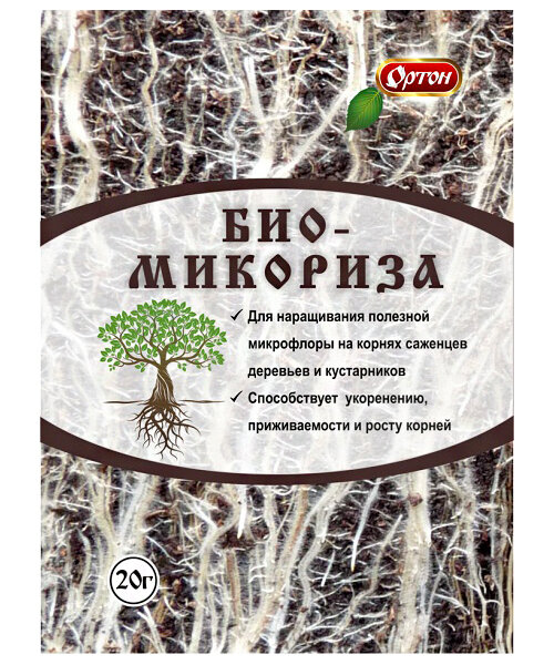 Биомикориза