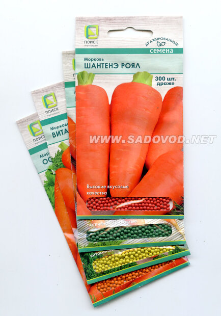 Морковь драже Витаминная 6 семена 