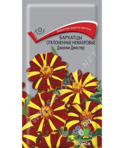 Бархатцы отклоненные Джолли Джестер