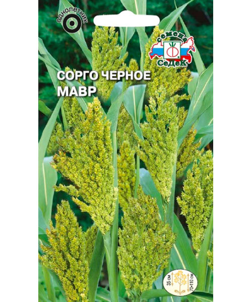 Сорго чёрное Мавр