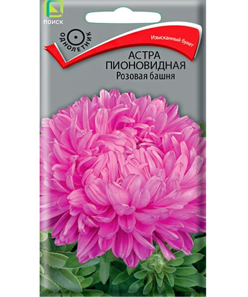 Астра пионовидная Розовая Башня семена